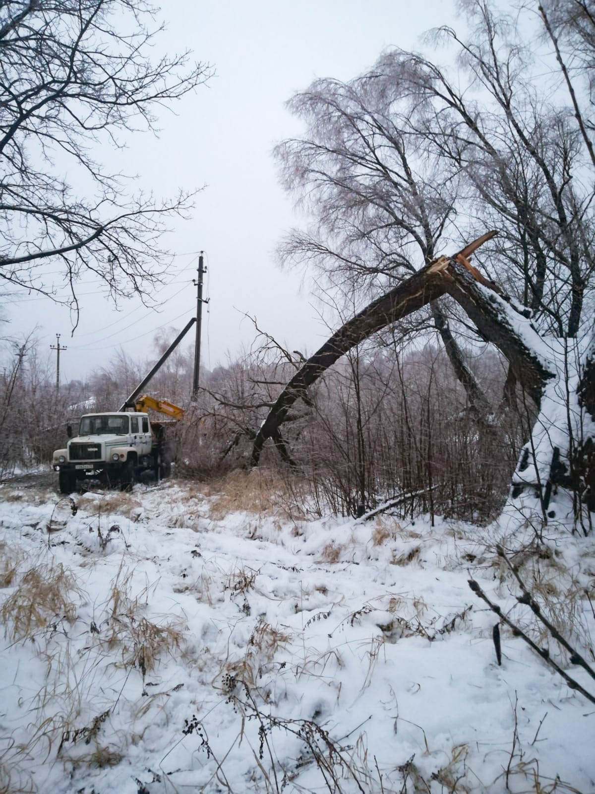 Последствия ледяного дождя в Нижегородской области